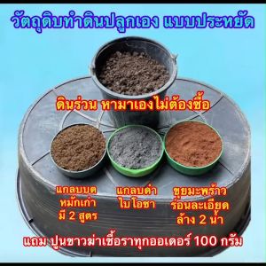 ดินปลูก ผสมเอง ส่วนผสม3อย่างทำดินเพาะปลูกเอง แบบง่ายๆ ราคาประหยัด แกลบบดละเอียดหมัก 2 สูตร แกลบดำ ขุยมะพร้าวร่อนละเอียดล้าง2น้ำ