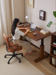 SUMUYUAN | Electric Adjustable Desk Workstation