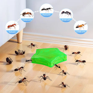 🐜No ants for 10 years🐜 ant killer Natural Attractive Ant Bait Safe & Easy To Use Eliminate Entire Colony Ant Favorite Ubat Semut paling berkesan ants killer bait racun semut paling kuat 蚂蚁药 ubat semut paling kuat