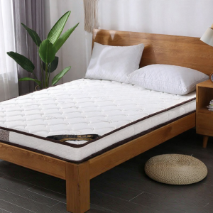 Hard Coconut Palm Mattress Economic for Adults Children