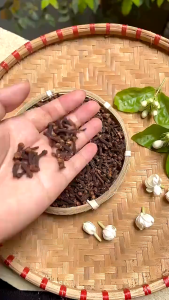 Whole Dried Cloves Premium Spice for Cooking & Herbal Tea | Strong Aroma Natural Flavor