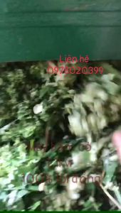 Dao băm cỏ 50cm lỗ trục 16mm làm bằng thép