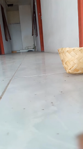 BESEK BAMBU TASYAKURAN / BESEK BAMBU KECIL / BESEK NASI KENDUREN