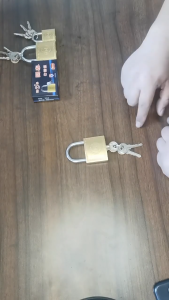 Brass Padlock with Key Anti Theft Security Lock 20-63mm Solid Metal Lock for Door Gate Locker Cabinet Warehouse Outdoor Use
