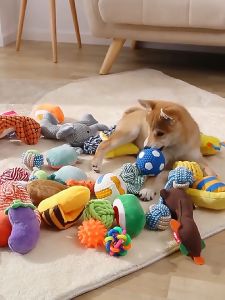 เชือกกัดสุนัข, เชือกกัดสำหรับหมา, แบบเซตสีเขียว