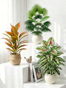 Luxury Decoration Artificial Palm Desktop Plant