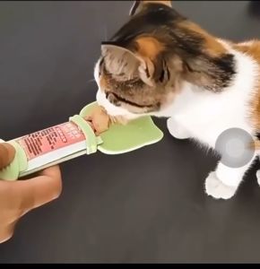 [Ready Stock] Oyenpaw Cat Snack Feeding Spoon/OyenPaw Senduk Pemberian Makanan Kucing