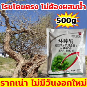 ต้นไม้ร้อยปี รากเน่าใน1วัน ผงกำจัดต้นไม้ 500g เข้มข้นสุด 1 แพ็คเท่ากับ 10 แพ็ค ตรงไปที่ราก ไม่เป็นอันตรายต่อดิน ยากำจัดต้นไม้ 1ถุง ฆ่าต้นไม้ใหญ่ได้1000ต้น สารกำจัดต้นไม้ เหมาะสำหรับกำจัดวัชพืช ต้นไม้ และไผ่ทุกชนิด ยากำจัดต้นไม้ใหญ่ สารกำจัดกอไผ่ ยาฆ่าไผ่