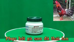 TANG Phục Hồi Sau Đá Gà Chọi 1 HŨ.dạng viên tể dành cho gà đá gà chọi chóng ké phù nề gà khoẻ mau phục hồi.tăng nước máu cho gà