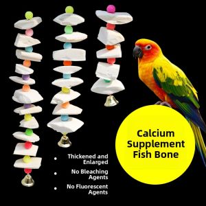 MONLEYTA | Murex Bone Parrot Special Tooth Grinding Stick Calcium Supplement Biting Toy Snacks Large Block For Peafowl Tiger Skin Peony Parrot