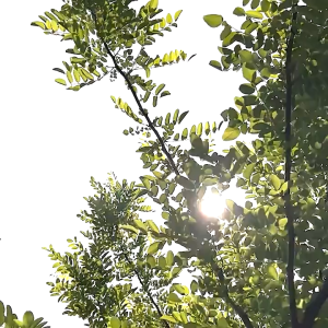 Penutup Ventilasi Angin AC Mobil / Diffuser Air Vent Windshield Pelembut Aliran Angin AC Mobil Universal