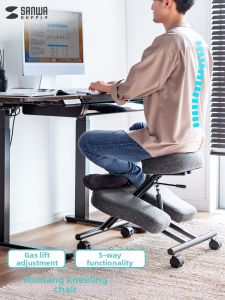 Sanwa Supply | Ergonomic Posture Correction Chair