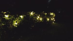 BOSCA String Light S14 Solar Warm 20 bulbs 13 meters IP65 Outdoor Waterproof Remote control Christmas lights Atmosphere holiday New Year light BPT-860