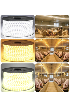 RUILUO | Outdoor Waterproof Super Bright LED Farm Lighting
