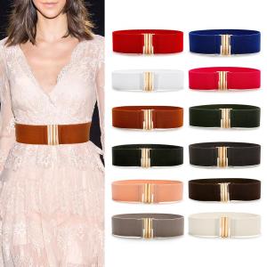 Elastic Waist Belt Womens Style Simple Decorative Belt for Skirts And down Jackets Titanium Buckle Fro Youth Fashion