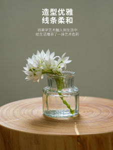 Creative Glass Flower Vase Living Room Decorative Accessories Transparent Glassware for Water Cultivated Plants American Style Restaurant Suitable