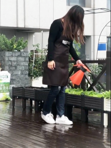 Chậu Lắp Ghép Trồng Cây D160xR40cm Vách Cao 17cmCó Chân Nhựa Nguyên Sinh Chuyên Trồng Rau Hoa