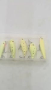 Outdoor Night Light Hard Bait Set 5PCS Pike Perch Night Artificial Swinger Winter Fishing Bait Set Fishing Gear Bait