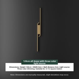 ZHENMEIJU | Sleek Copper LED Wall Light