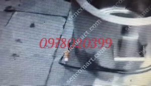 Nồi nấu xôi bằng điện 220V