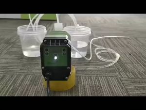 Auto Dosing Pump 220V - 16Watt / 5Lph-6.2Bar