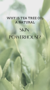 The Good Source Premium Tea Tree Soap (with Chia Seeds) Face & Body Soap I 80g