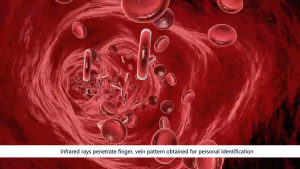 With Installation (1 Year Warranty) (Singgate) <FR018> 指静脉扫描智能锁 Finger Vein Recognition & Video Call Digital Door Lock