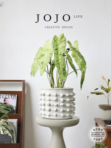 Creative Cement Vintage Dot Rising Flower Pot JOJOS L PD Nordic Style Home Decoration Flower Vase Artificial Flower Holder