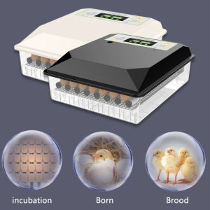 CELOGLO Fully automatic egg incubator digital incubator temperature control dual power supply COD