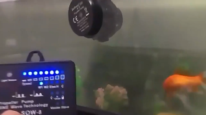 Jebao DCP DC Aquarium Water Pump Sine Wave Technology Ultra Quiet for Fish Tank Marine Freshwater / Pam Ikan