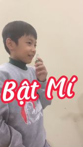 Dầu thảo mộc Aroma Bạc Hà Khuynh diệp 100% Tinh Dầu Thiên Nhiên chống nghẹt mũi giảm đau đầu 9ml