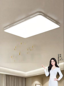 Bull | Ultra Bright Full Spectrum Modern Simple LED Ceiling Light