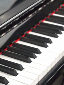 100ml Piano Cleaning Spray / Piano Penghilang Noda / Piano Polish / Instrument Cleaner