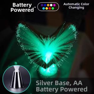 BEAUTY IN THE LIGHT | Nightlight Starry Fiber Light Room Outdoor Decor