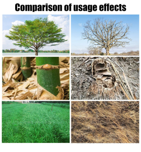 10 years of weed-free racun rumput paling kuat murah 1 pack=200㎡ racun rumput paling kuat cepat mati 500g Root rot 5 meters deep racun rumput mati akar No damage to the soil ameron Racun rumput sambau weed killer grass killer 环嗪酮除草剂