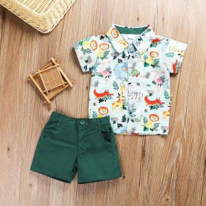 safari jungle theme  baby boy brithday outfit  animal dinosaur shirt polo set