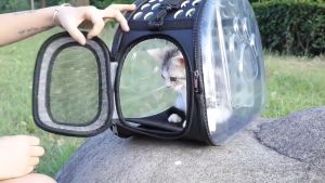 Pet Carrier Bag for dog and cat Collapsible Portable Transparent Bag Puppy Outdoor Travel Pet Carry Bag Pet Carrier Cat Bag Dog Puppy bagpack Travel Breathable Transparent Collapsible Portable shih tzu