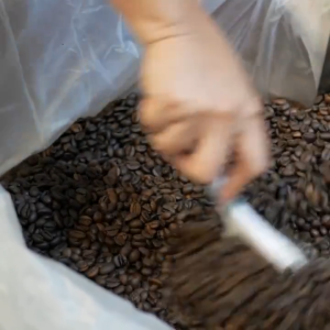 Coffee Sage Premium - Flow Medium Roast - 250G