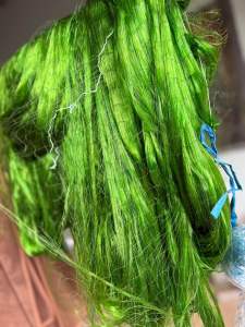 LƯỚI 4P BẪY TỔNG HỢP CÁC LOẠI CHIM :  Bẫy các loại chim: SẺ ÉN CHÀO MÀO họa mi hoành hoạchchòe thanlửabói cá sáocu tiểu...  * chiều cao 6 m  * 5 giây 4  túi Không gây sát thương cho chim