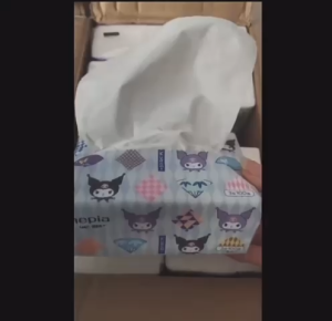 [Bundle of 24] 3-ply tissue paper (100 pull/pack) No Fragrance [Kuromi | My Melody | Hello Kitty]