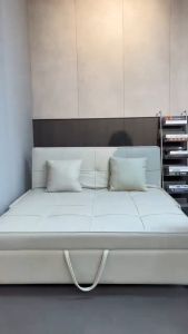 MERAKEE Multi Purpose Sofa Bed Color Solution Living Room Bedroom Furniture XC1106A