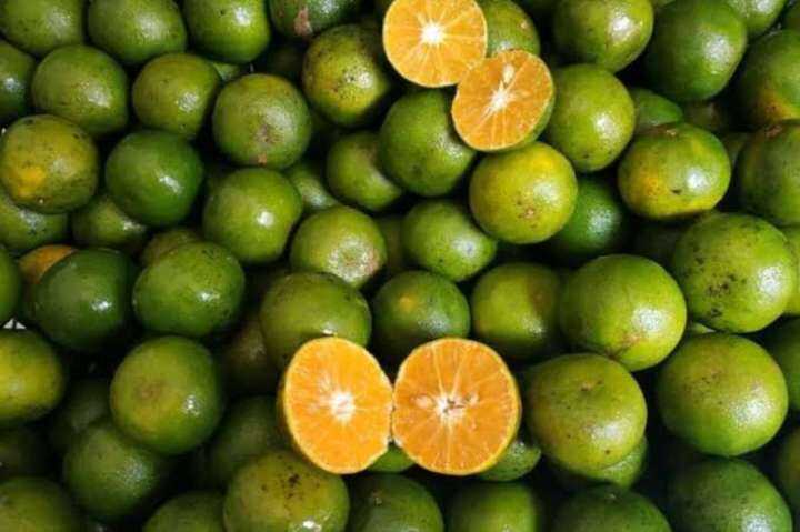 Termurah 1 Kg Buah Jeruk Peras Fresh Dijamin Segar Lazada Indonesia