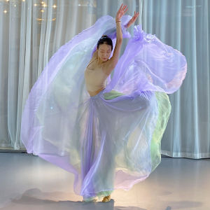 Original Li Fei Original Classic Dance Dress National Style Elegant Art Exam Flow 720 Degree Double Layer Double Color Fairy Grand Waist Circle Skirt