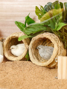 Nhà Lợn Cạp Đỏ Bằng Rơm Cho Chim Chích Chim Cưng Vật Dụng Trang Trí Nhà Đồ Dùng Ấm Áp Cho Chim Mùa Đông Nhà Lợn Cạp Đỏ