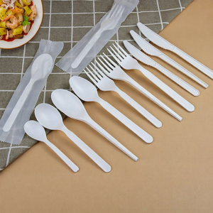Disposable Biodegradable Utensil Set
