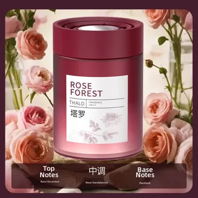 SNKN | Car Freshener for Women 2025 New Model Long-lasting Purifies Air Removes Odor