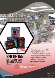 TG-155 Portable Wireless Bluetooth Speaker