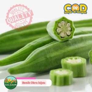 [TERLARIS] BIJI/BENIH SAYURAN OKRA HIJAU