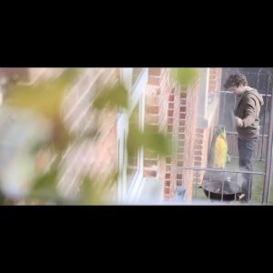 Bosch Blower IXO Collection for Cordless Screw Driver IXO 7