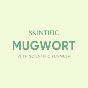 SKINTIFIC MASK CLAY STICK/CLAY MASK MUGWORT & ALASKA / MASKER WAJAH